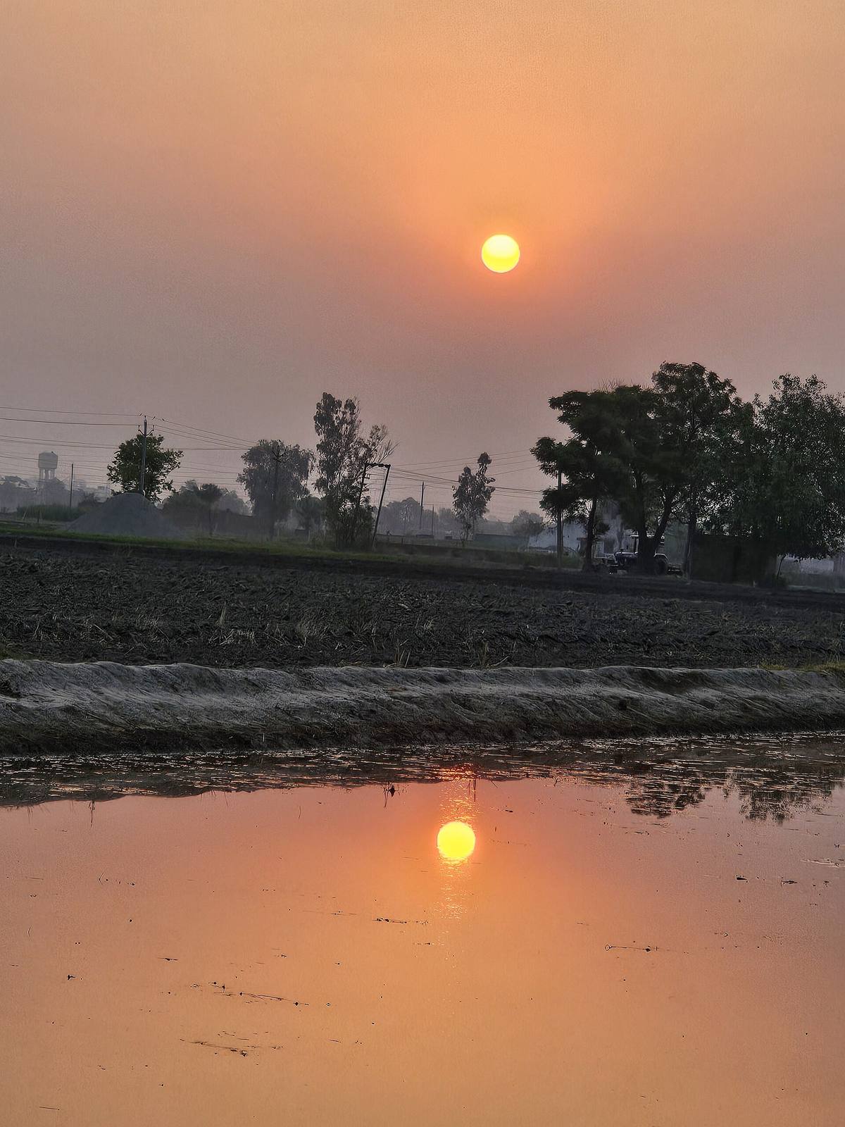 Sunset over paddy fields, Punjab